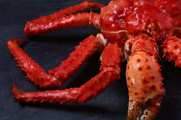 Chilean King Crab Leg Clusters, 1lb, 4lb, 30lb - Image 5