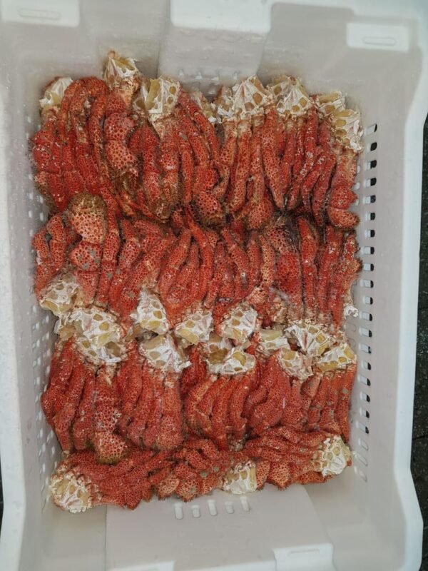 Chilean King Crab Leg Clusters, 1lb, 4lb, 30lb - Image 6