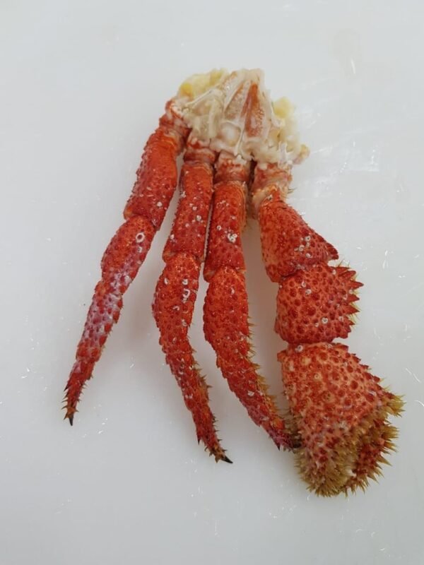 Chilean King Crab Leg Clusters, 1lb, 4lb, 30lb - Image 4