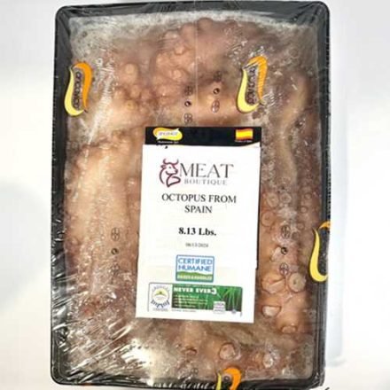 Octopus-Spain-Ancavico-Fz